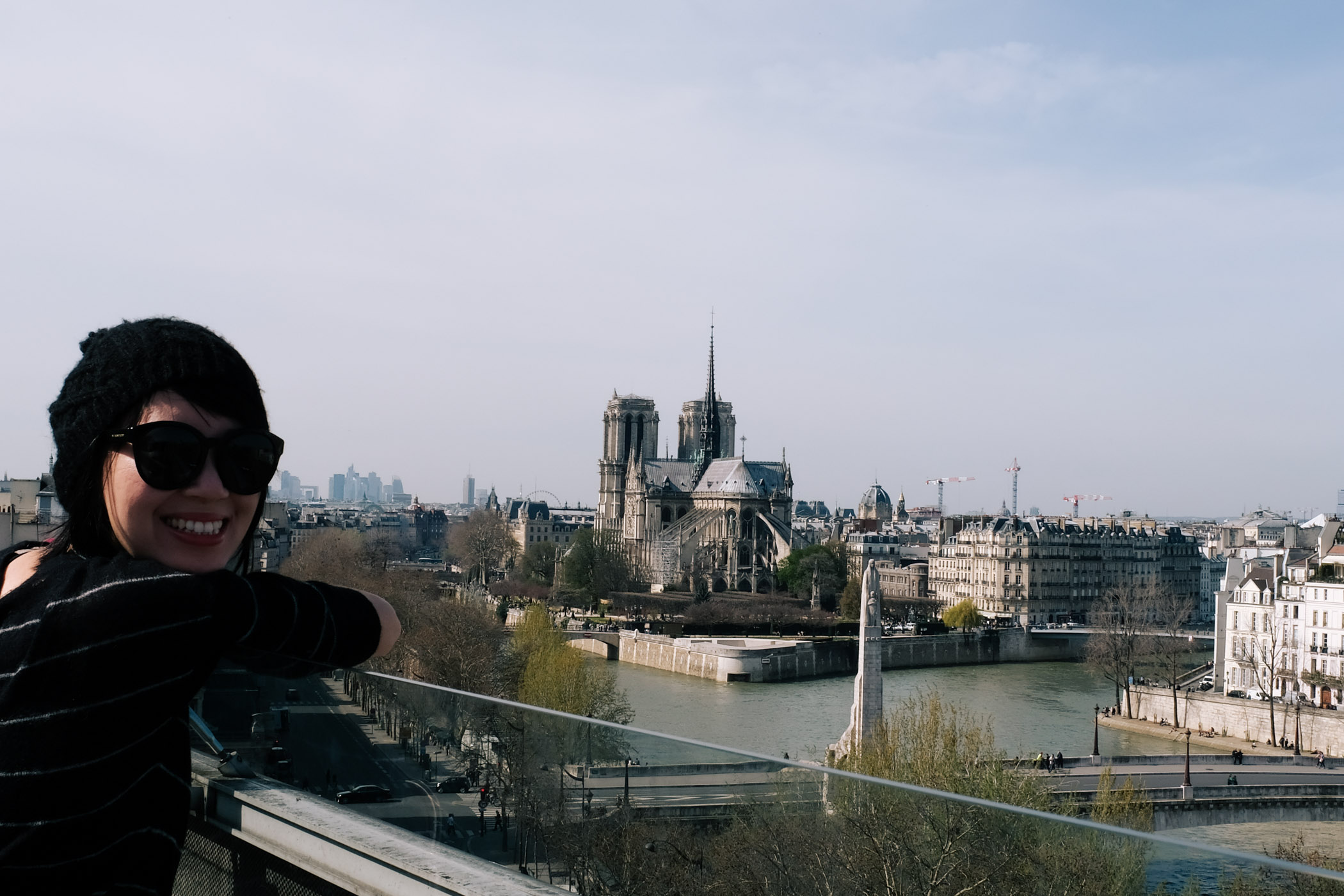 View from Institut du monde arabe