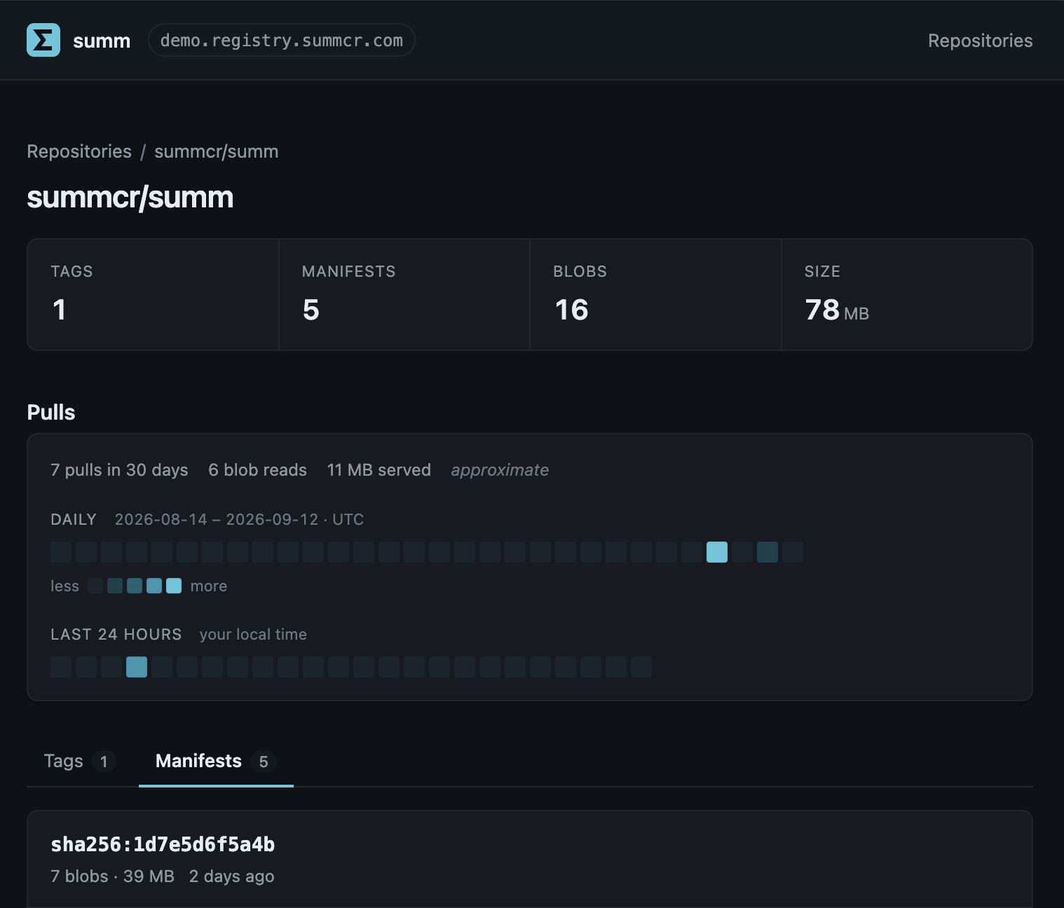 The summcr/summ repository page in summ's web UI